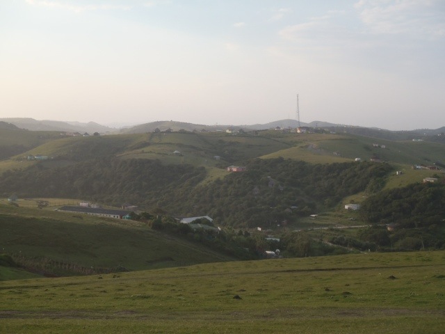 20120425-104605.jpg